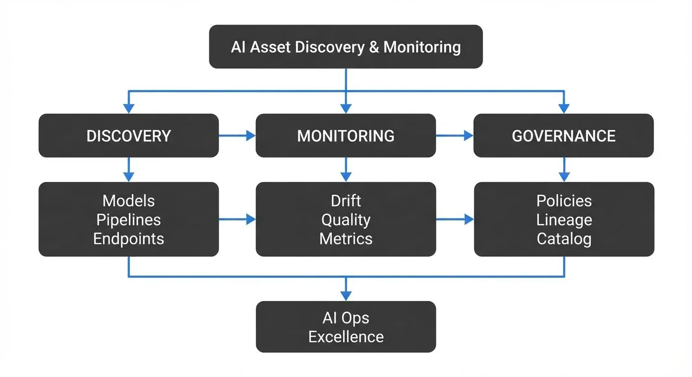 AI Discovery and Monitoring Lifecycle